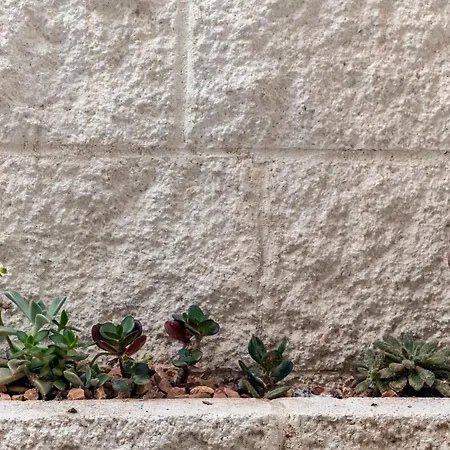 In Centro Da Viola - Eco Design