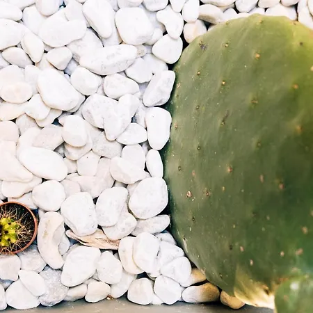 In Centro Da Viola - Eco Design 게스트하우스 3*