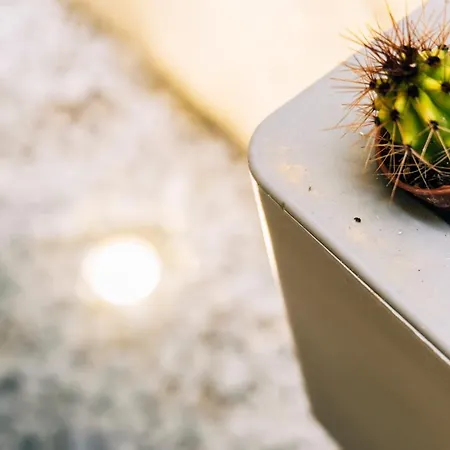 In Centro Da Viola - Eco Design 게스트하우스