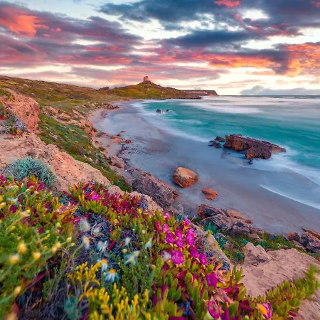 In Centro Da Viola - Eco Design 올비아