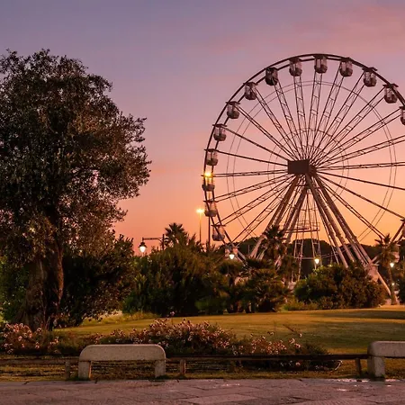 In Centro Da Viola - Eco Design