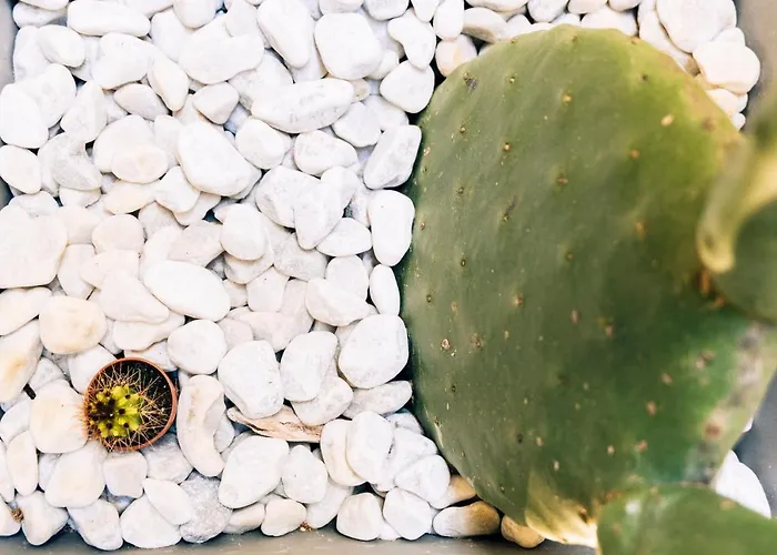 In Centro Da Viola - Eco Design Penzion 3*