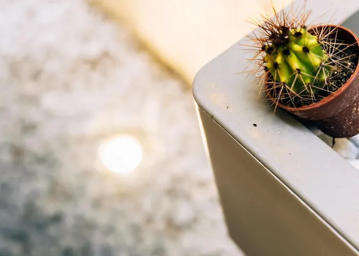 In Centro Da Viola - Eco Design Penzion